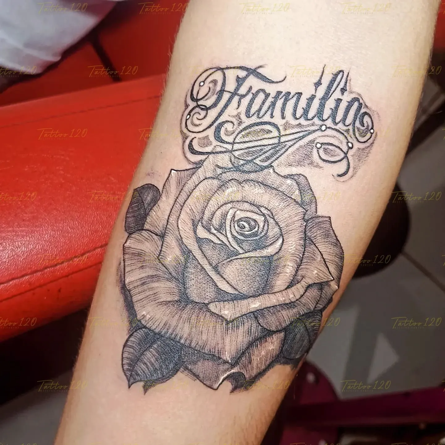 Tatuaje detallado de la palabra Familia en letras góticas decoradas sobre una rosa grande en blanco y gris, en estilo de letras, frases y chicano, realizado en el estudio Tattoo120 en Colina, Región Metropolitana.