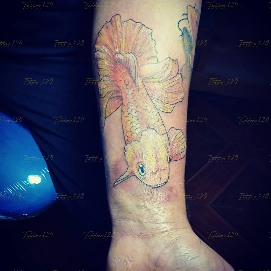 Tatuaje de un pez koi nadando hacia abajo realizado con sutiles líneas negras y un suave sombreado en tonos amarillos y naranjas en el antebrazo, en estilo de línea fina y minimalistas, realizado en el estudio Tattoo120 en Colina, Región Metropolitana.