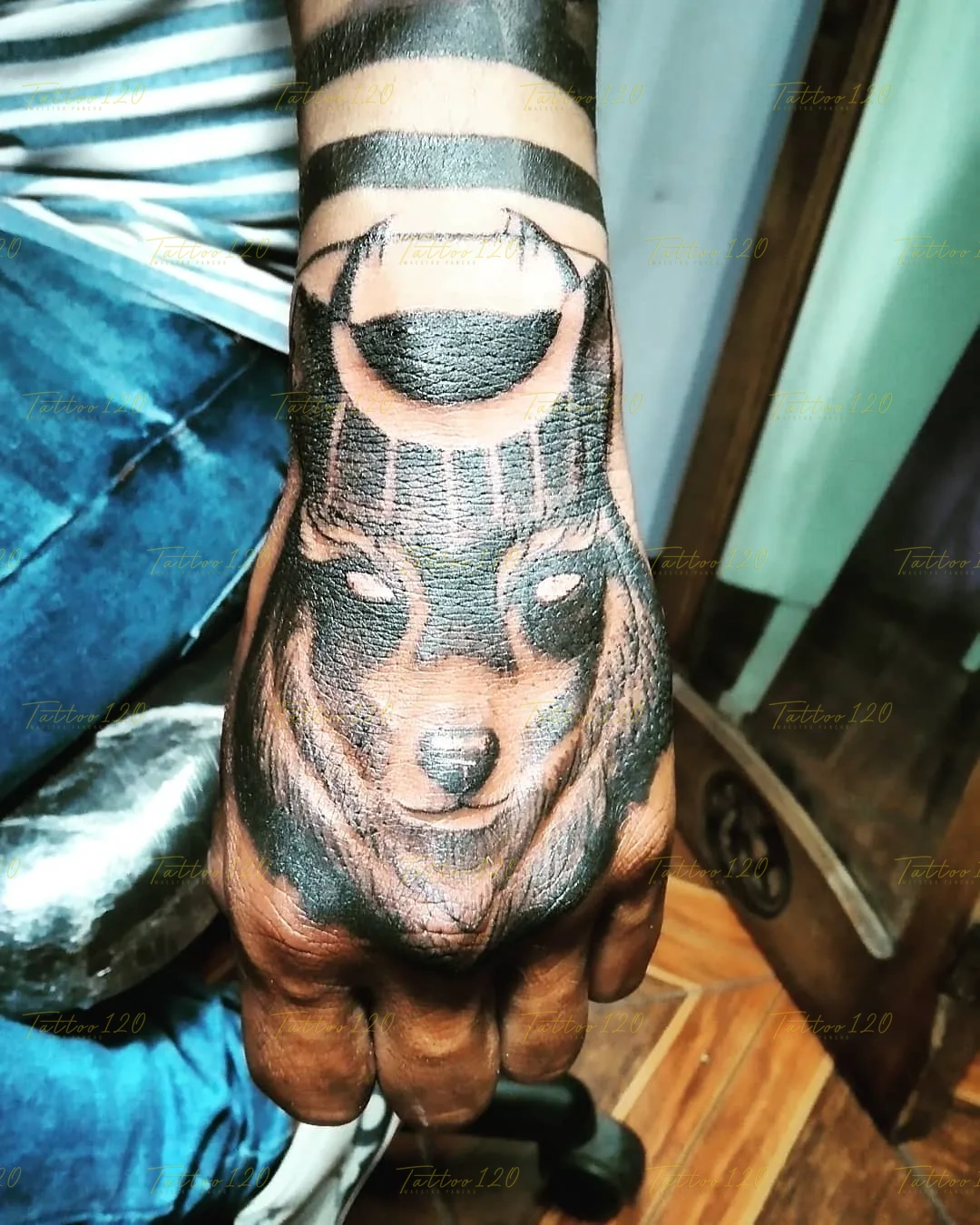 Tatuaje en el dorso de la mano que muestra el rostro de un chacal o lobo con ornamentos egipcios y brazaletes negros sólidos en la muñeca, en estilo de polinesios y tribales, realizado en el estudio Tattoo120 en Colina, Región Metropolitana.