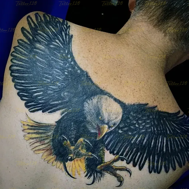 Tatuaje grande en la espalda que representa un águila calva en pleno vuelo con las garras extendidas y detalles de sombreado denso, en estilo de realistas, retratos y sombras, realizado en el estudio Tattoo120 en Colina, Región Metropolitana.