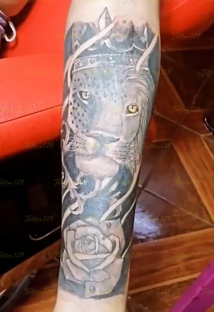 Tatuaje realista en el antebrazo que representa la cabeza de un león portando una corona real junto a una rosa en la base, en estilo de realistas, retratos y sombras, realizado en el estudio Tattoo120 en Colina, Región Metropolitana.