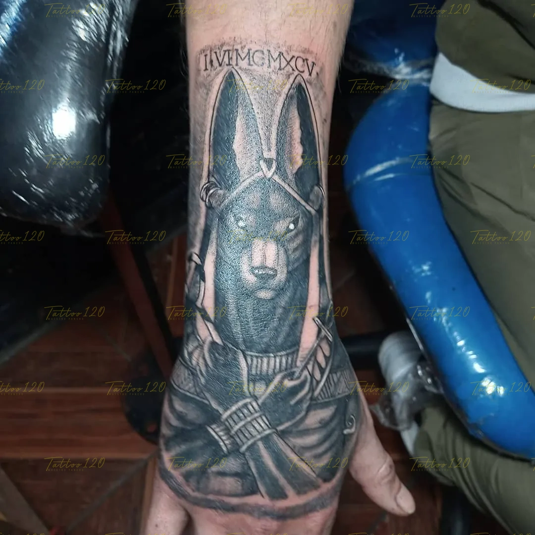 Tatuaje en el antebrazo y muñeca del dios egipcio Anubis con los brazos cruzados y la fecha en números romanos IV-VI-MCMXCV arriba, en estilo de realistas, retratos y sombras, realizado en el estudio Tattoo120 en Colina, Región Metropolitana.
