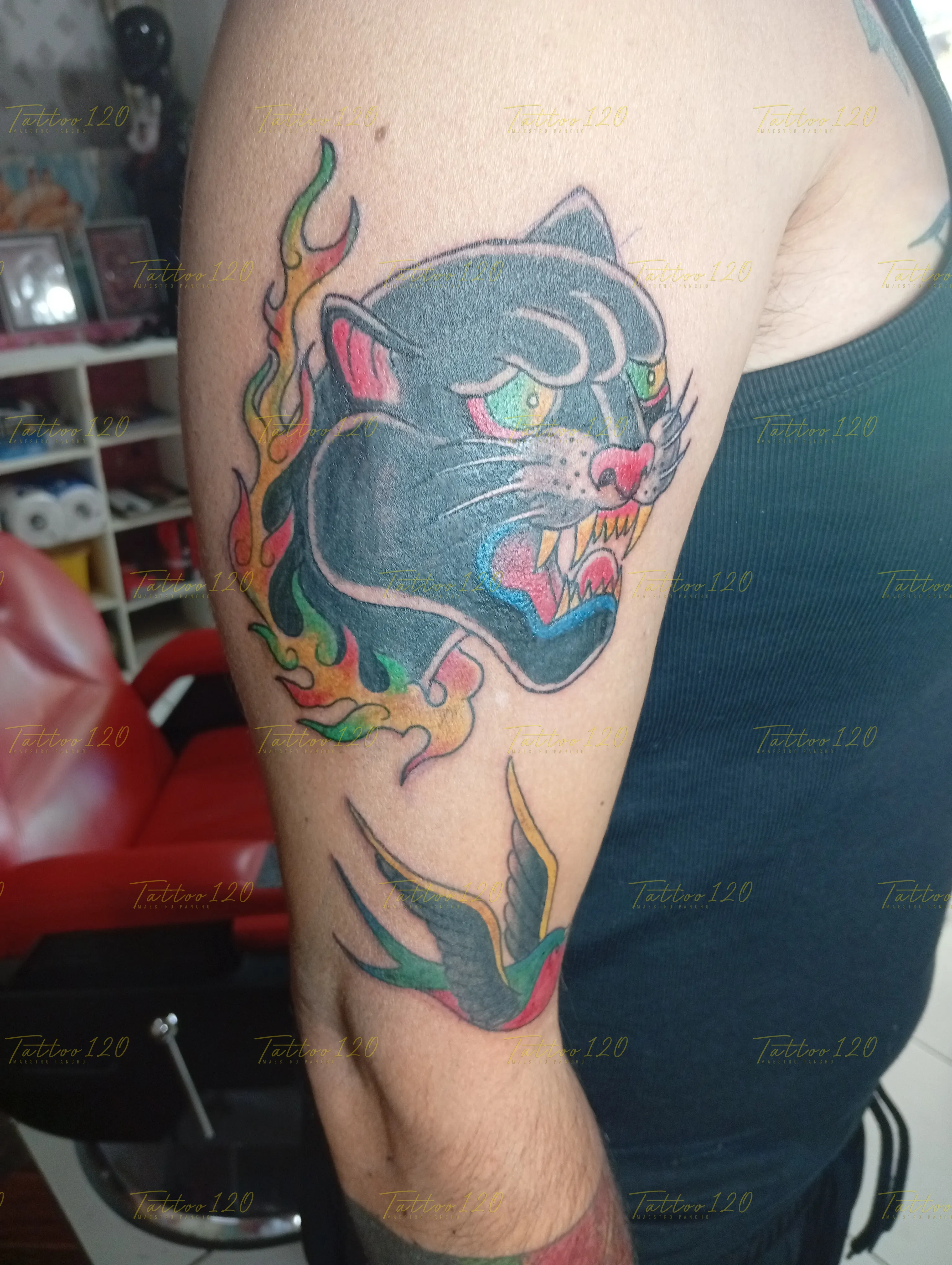 Tatuaje en el brazo de una clásica pantera negra rugiendo rodeada de fuego de colores y una golondrina en la parte inferior, en estilo de tradicional y neo tradicional, realizado en el estudio Tattoo120 en Colina, Región Metropolitana.