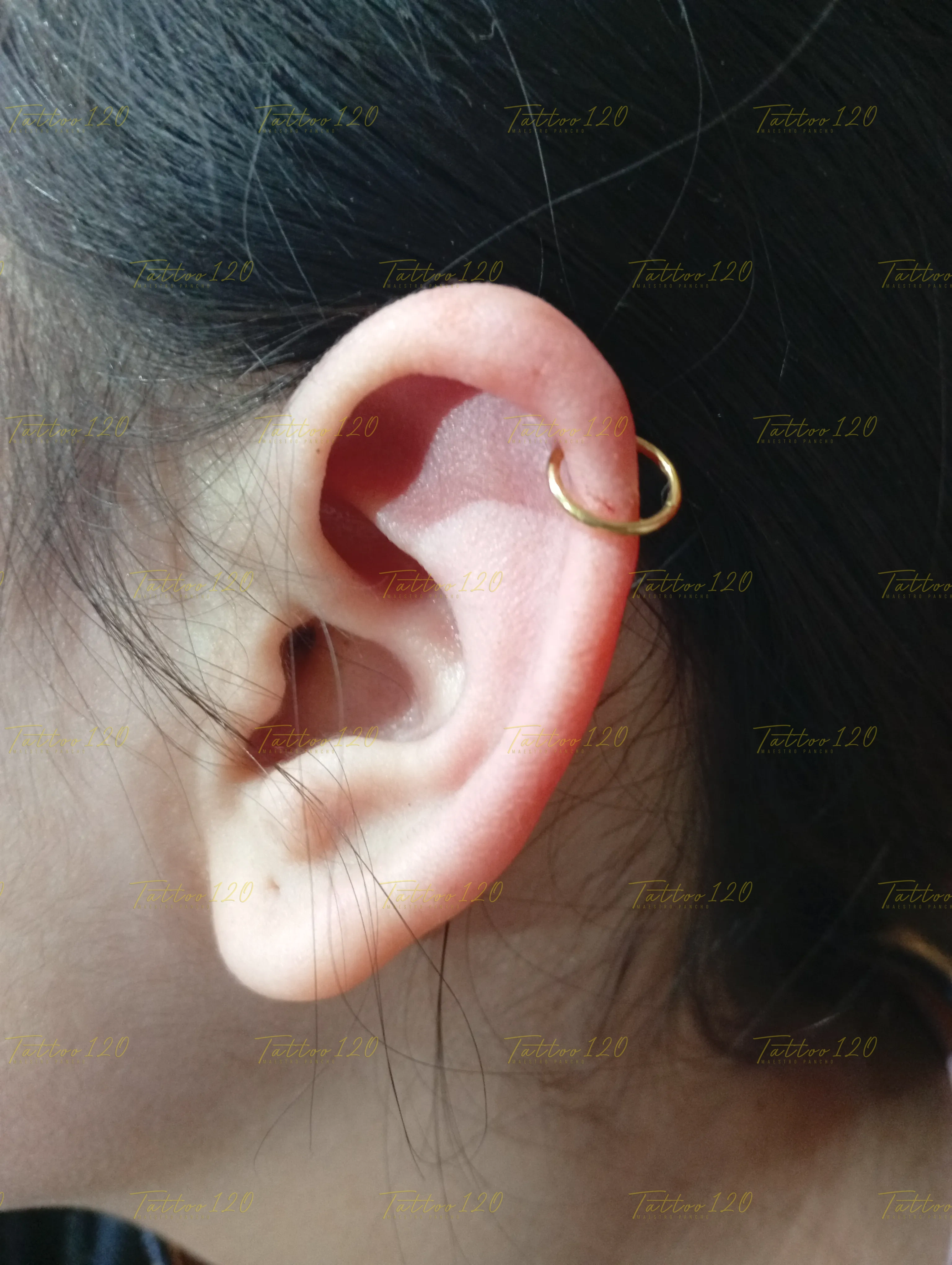 Perforación de piercing Helix Superior en el cartílago de la oreja con argolla fina, realizado en el estudio Tattoo120 en Colina, Región Metropolitana.